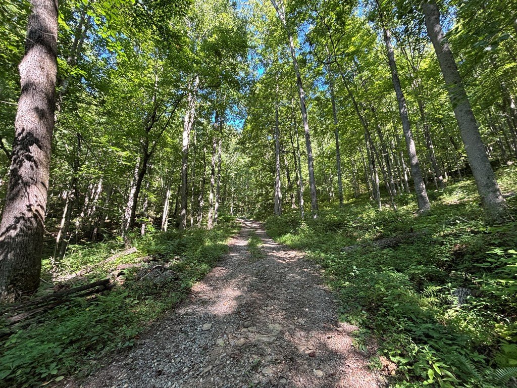 Picture 9