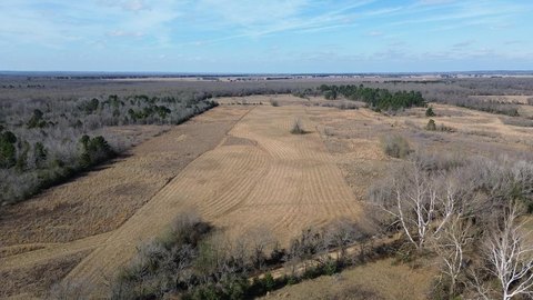 Grapeland, TX 12.5-Acre Land