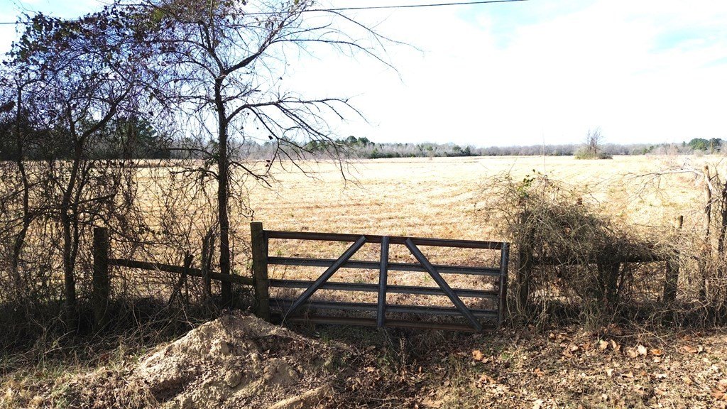Picture 11