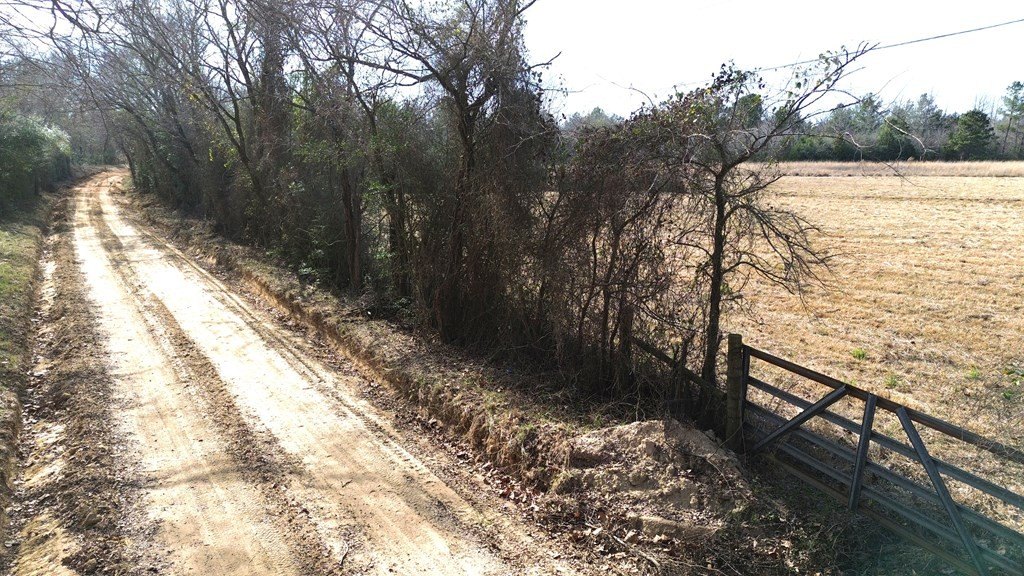 Picture 10