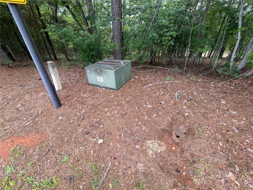 Picture 31
