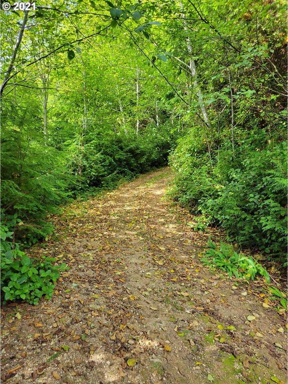 Picture 10