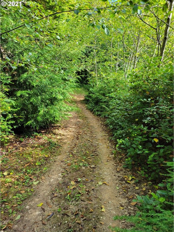 Picture 9