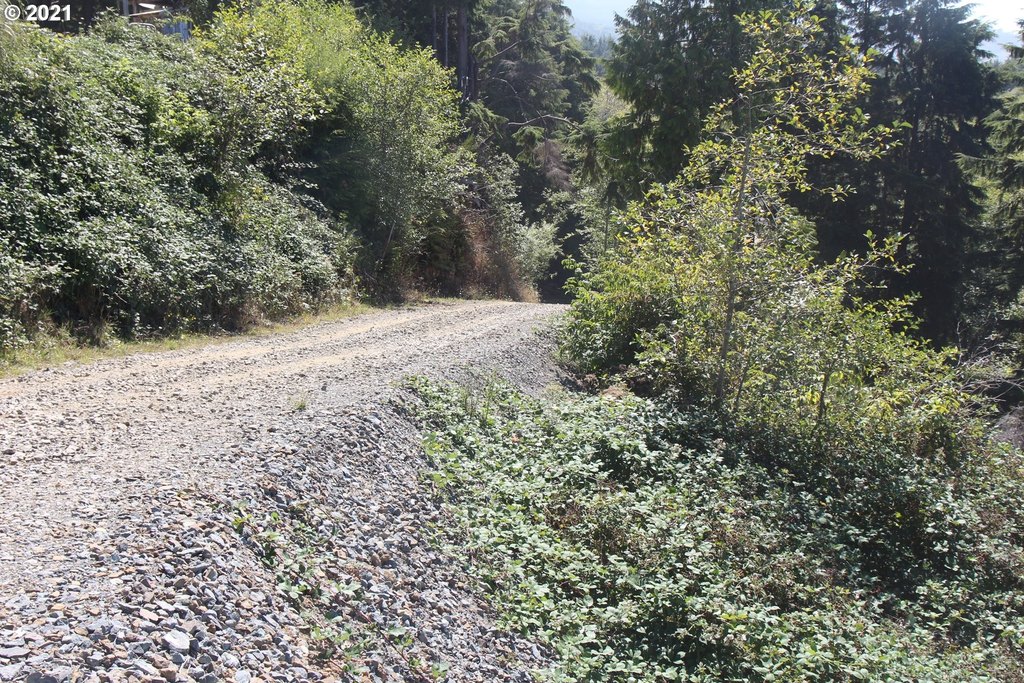 Picture 3