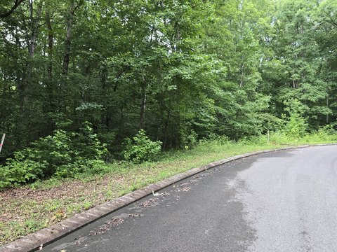 LAND - Dunlap, TN