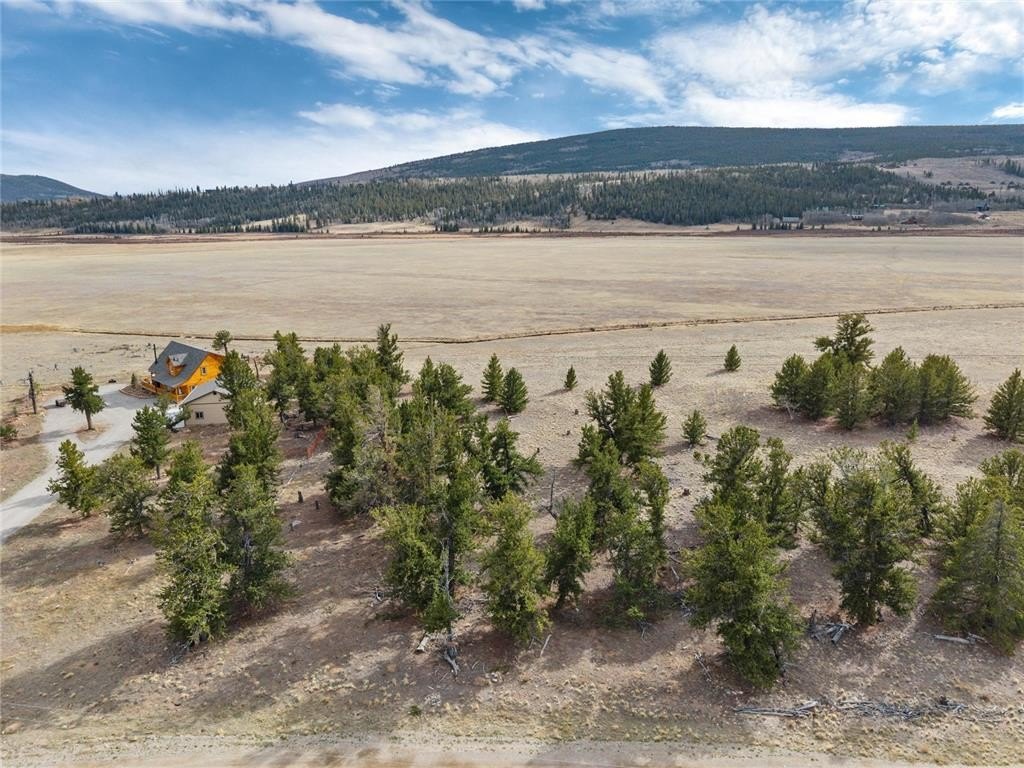 Fairplay CO Land Homesite