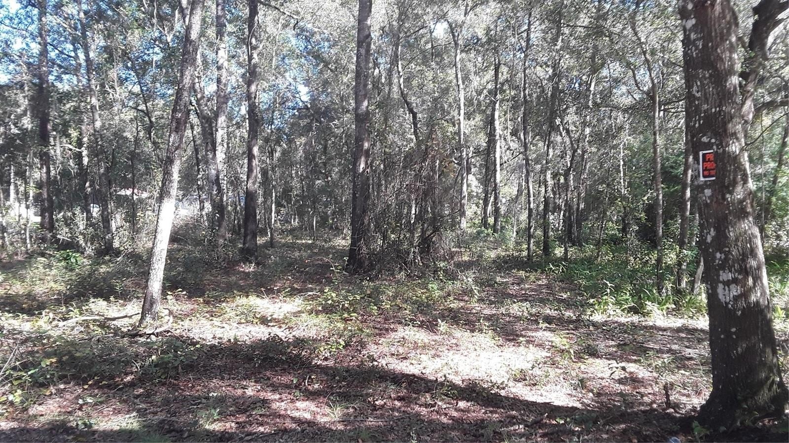 Land Ready to Build On