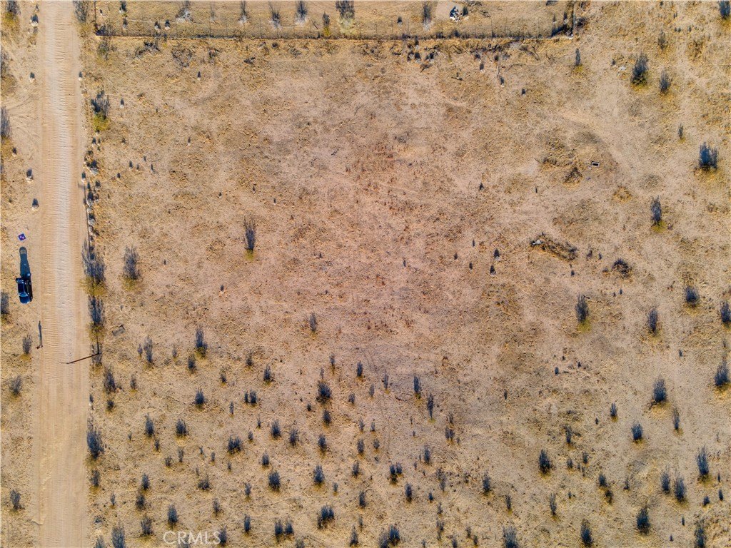Picture 6