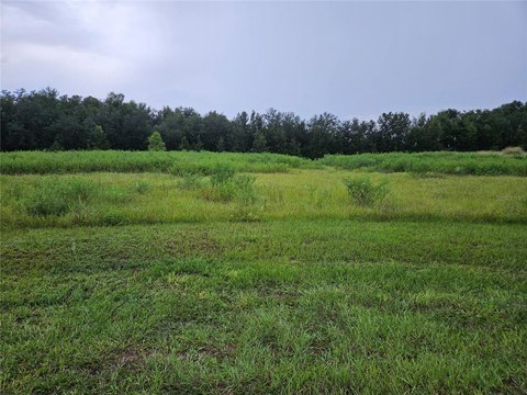 Land, ZEPHYRHILLS, FL