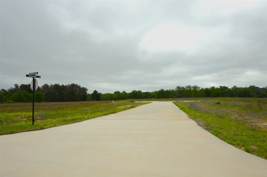 Picture 11