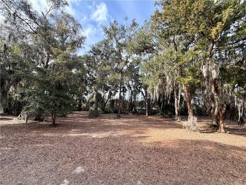 Land in Sutherland Bluff Plantation
