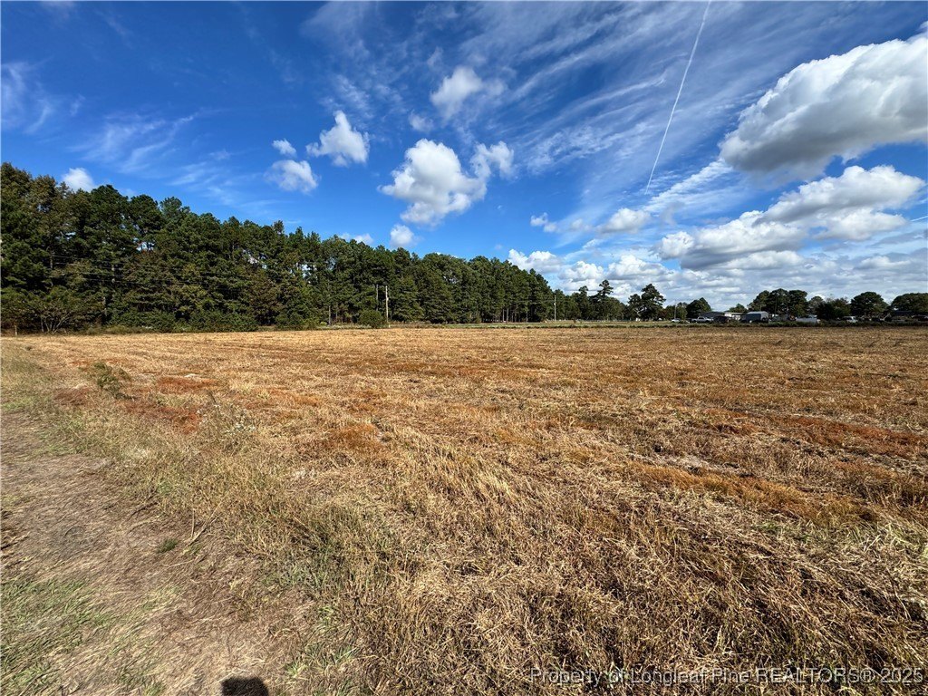 Land For Sale in Maxton