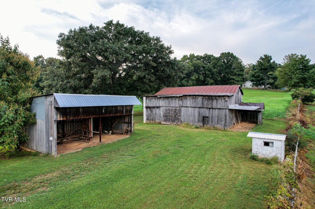 Picture 19