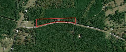 Wooded Land Near Hemphill, TX