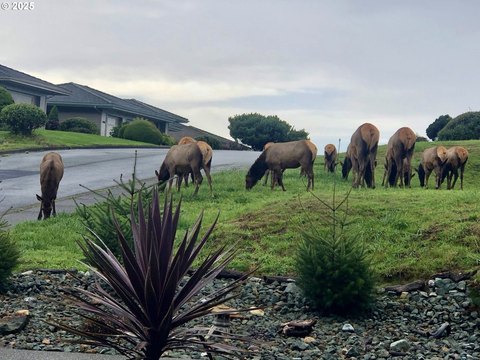 Brookings Land Ready For Building