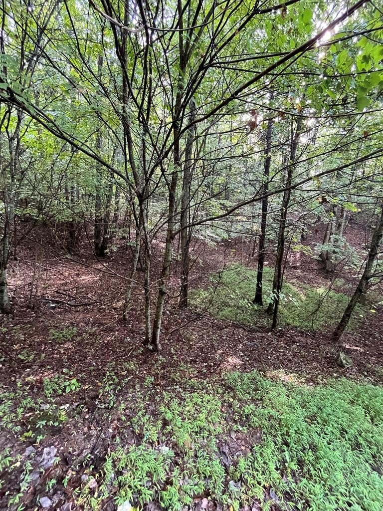 Hayesville Wooded Lot with View