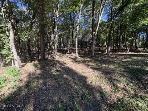 Lots & Acreage, Lenoir City, TN