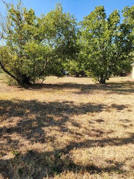 Land, Corsicana, TX