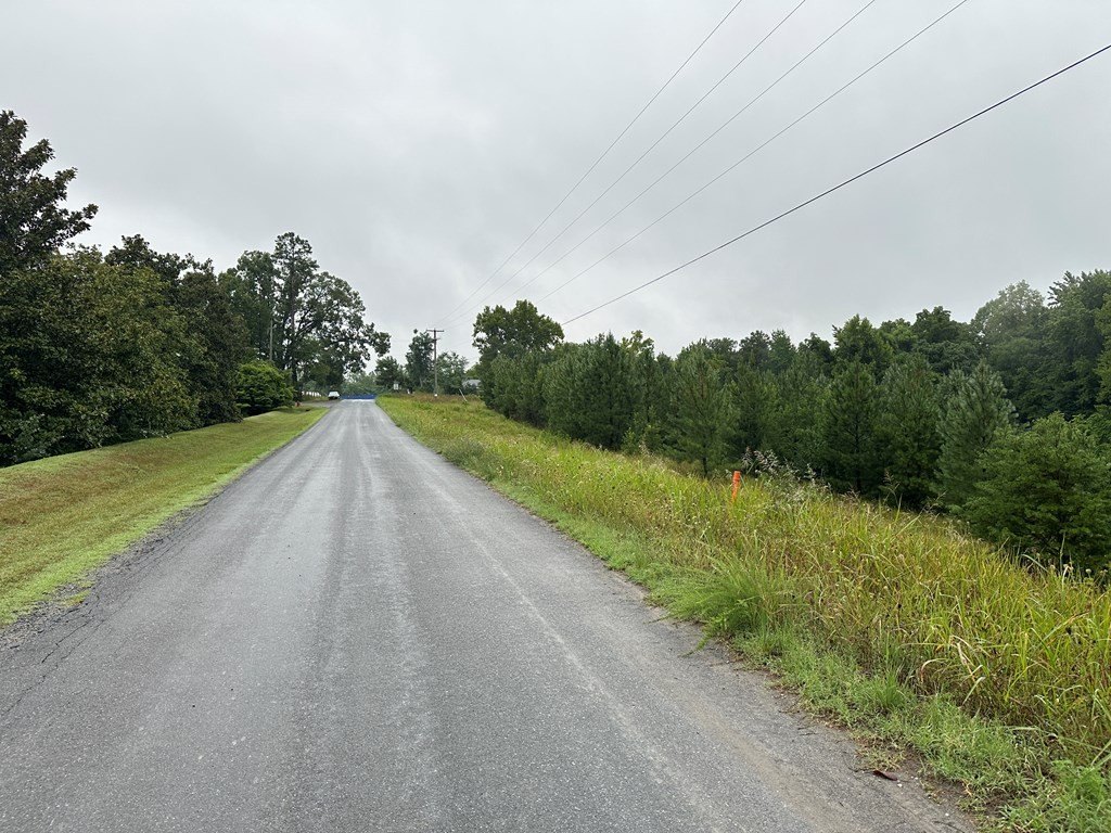 Picture 8