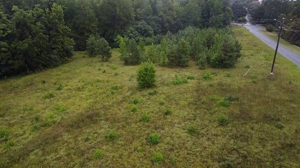 Picture 21