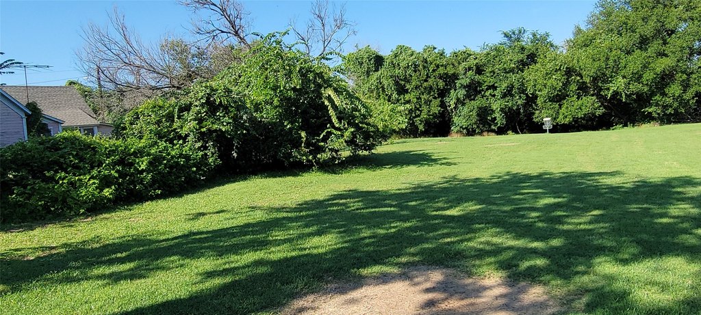 Picture 6