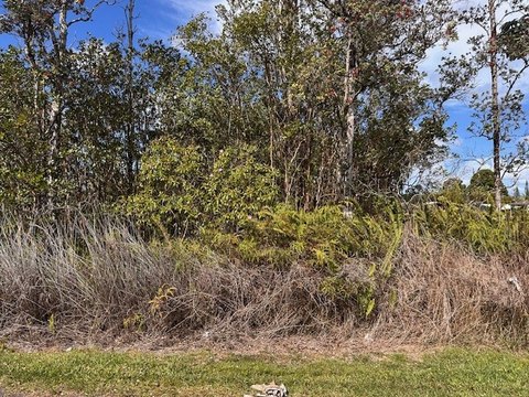 Pahoa Buildable Residential Land