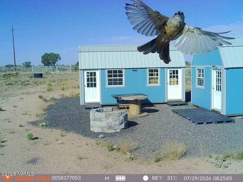 Land, Williams, AZ