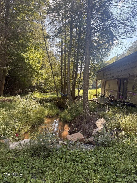 Picture 7
