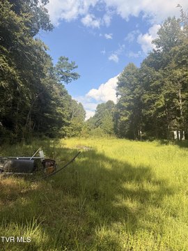 Land, Rogersville, TN