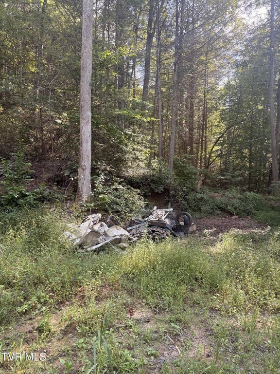 Picture 13
