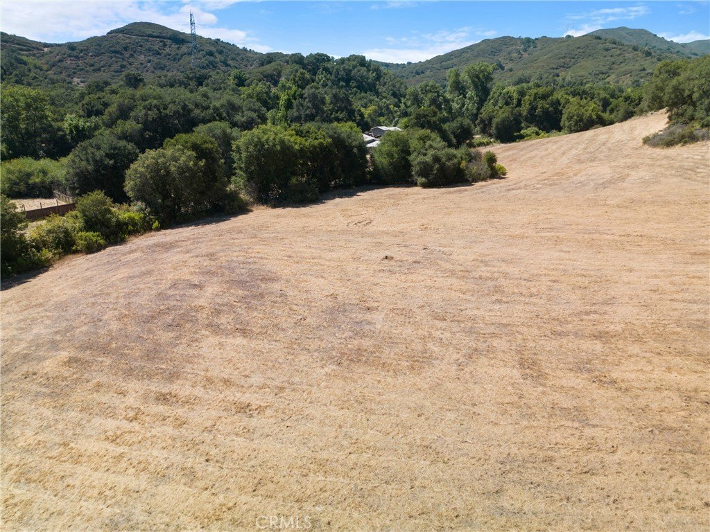 Picture 25
