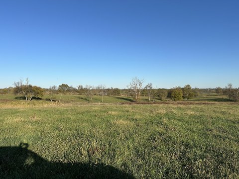 Georgetown Land for Sale