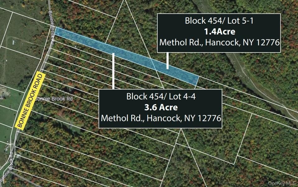 Residential Land in Roscoe, NY