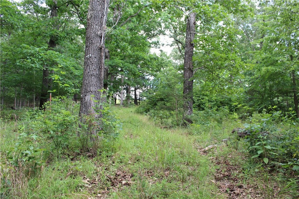 Picture 14