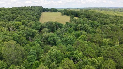Wooded Hunting Land