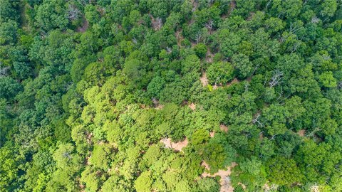 Wooded Hunting and Recreation Land