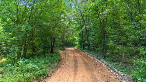 Wooded Hunting and Recreation Land