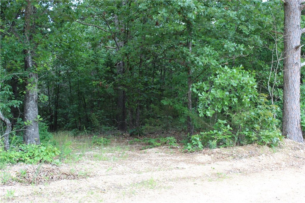 Picture 4