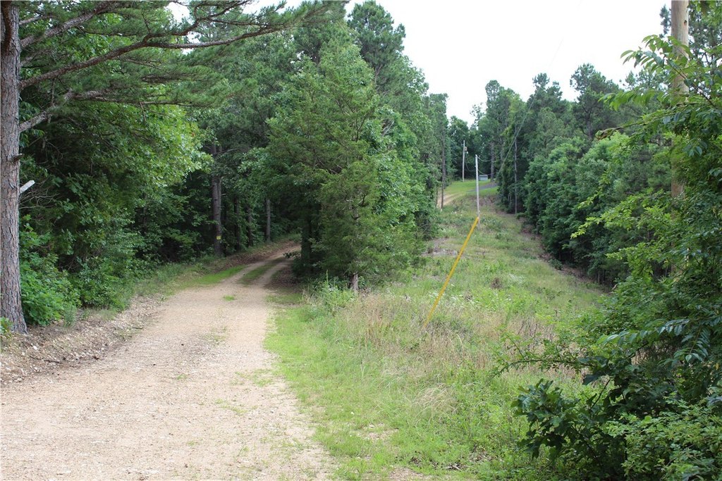 Picture 3