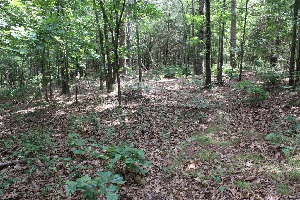 Picture 18
