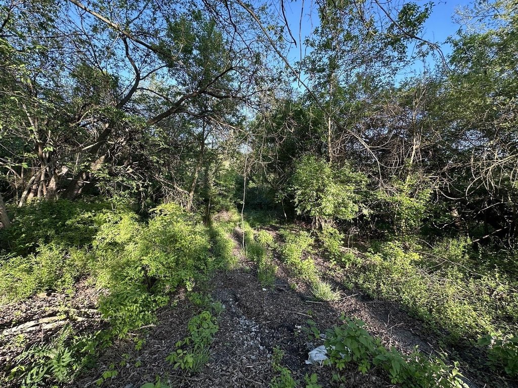 Picture 18