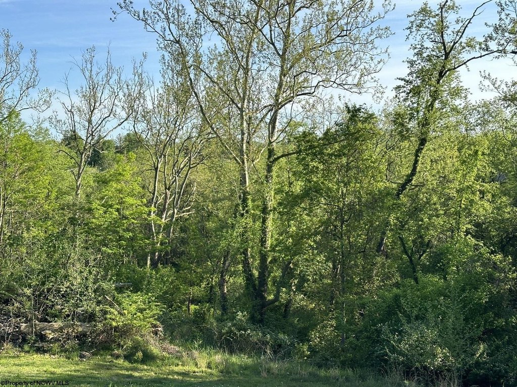 Picture 16