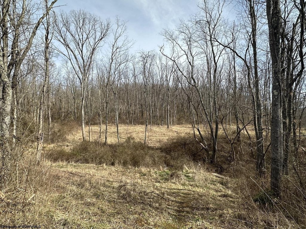 Picture 8