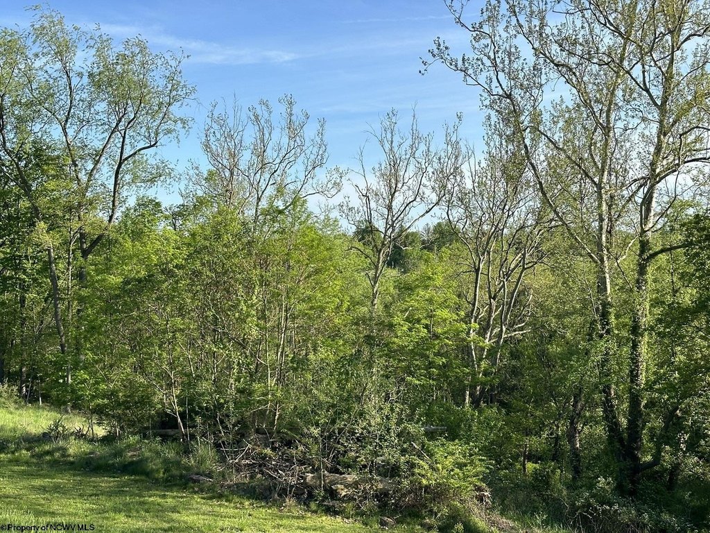 Picture 17