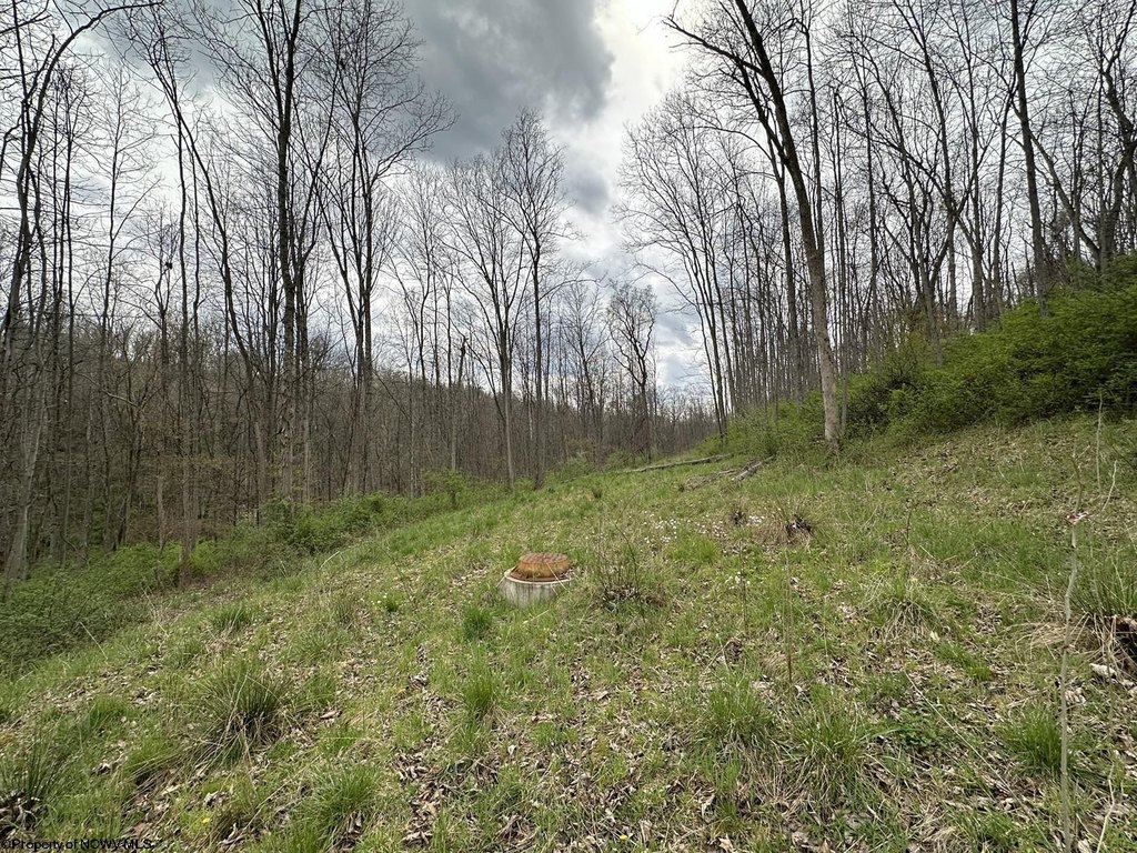 Picture 13