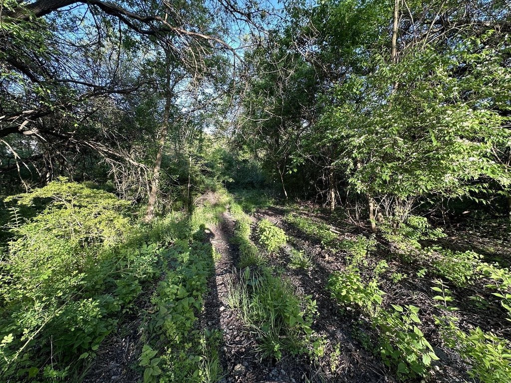Picture 19