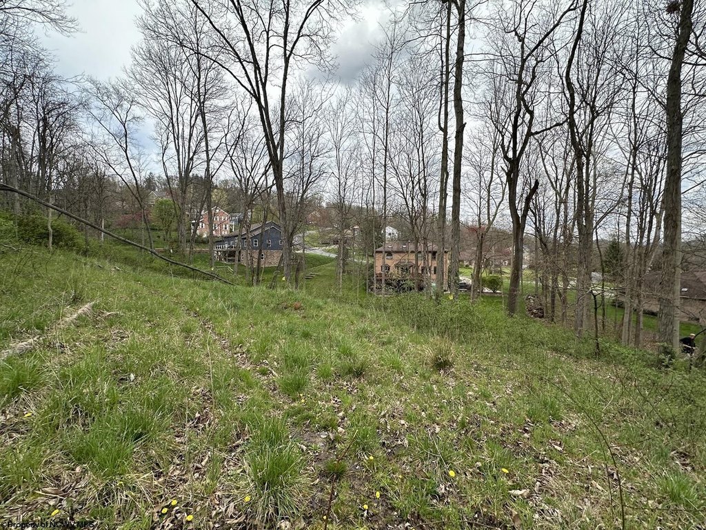 Picture 12