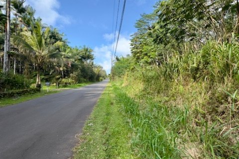 Land, Pahoa, HI