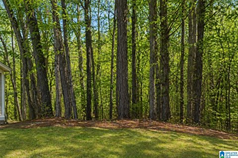 Residential Homesite Lot
