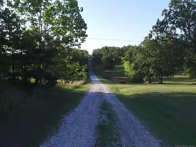 Picture 41